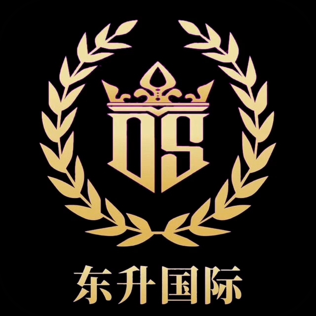 东升国际